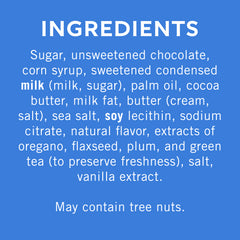 Dark Chocolate Sea Salt Caramel SQUARES Case Pack (430 ct)