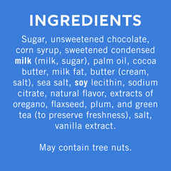 Dark Chocolate Sea Salt Caramel SQUARES Medium Bag (Case of 6)